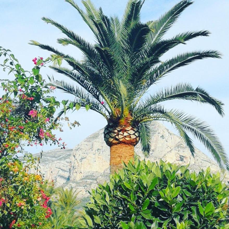 Apartment Paca Javea Luaran gambar